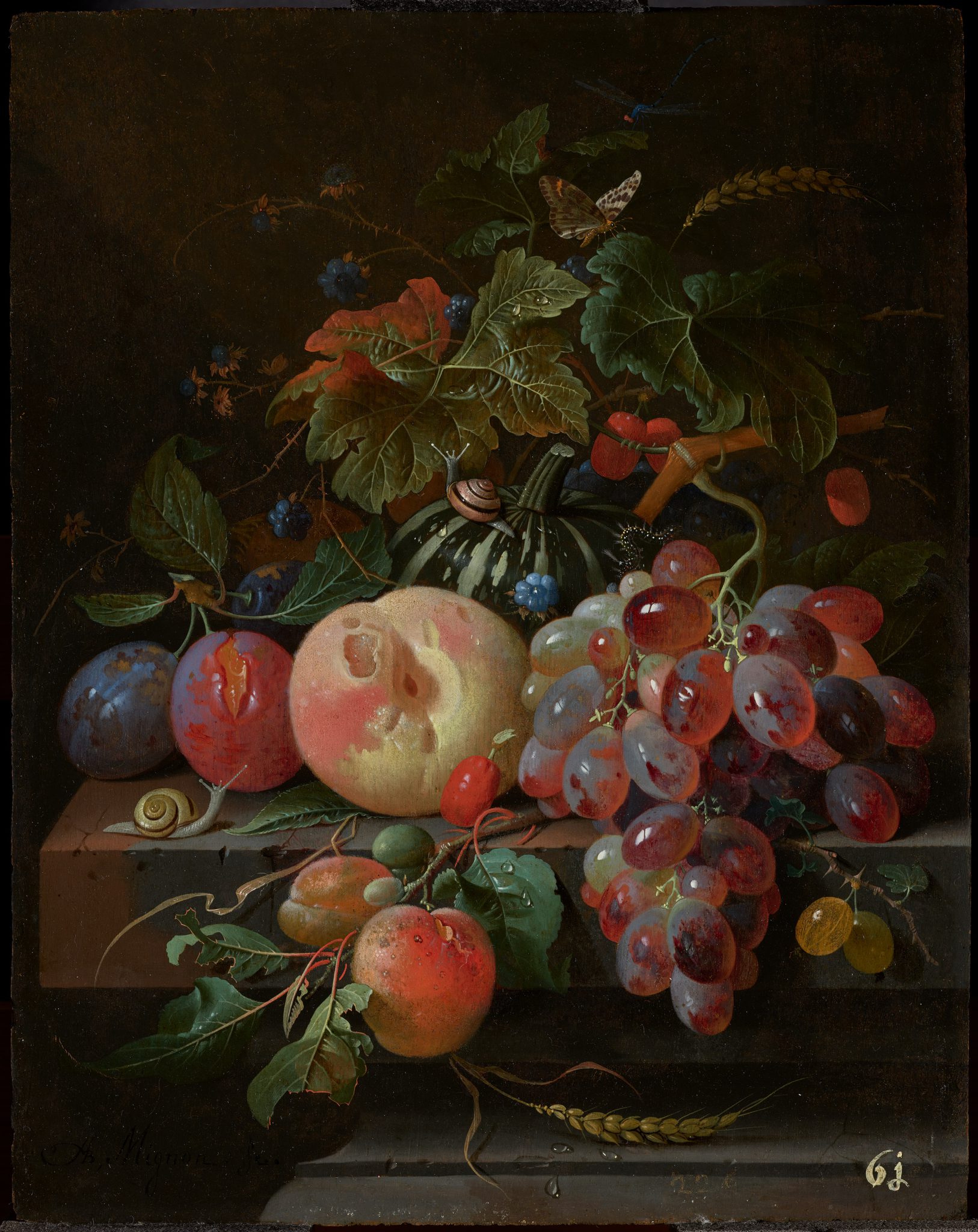 Still life with a Pumpkin, Peach, Grapes and Insects